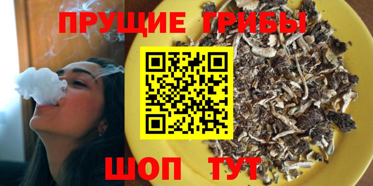 Галлюциногенные грибы мицелий  Псилоцибиновые грибы Psilocybine cubensis  цена наркотик  Кропоткин  Вход с VPN 